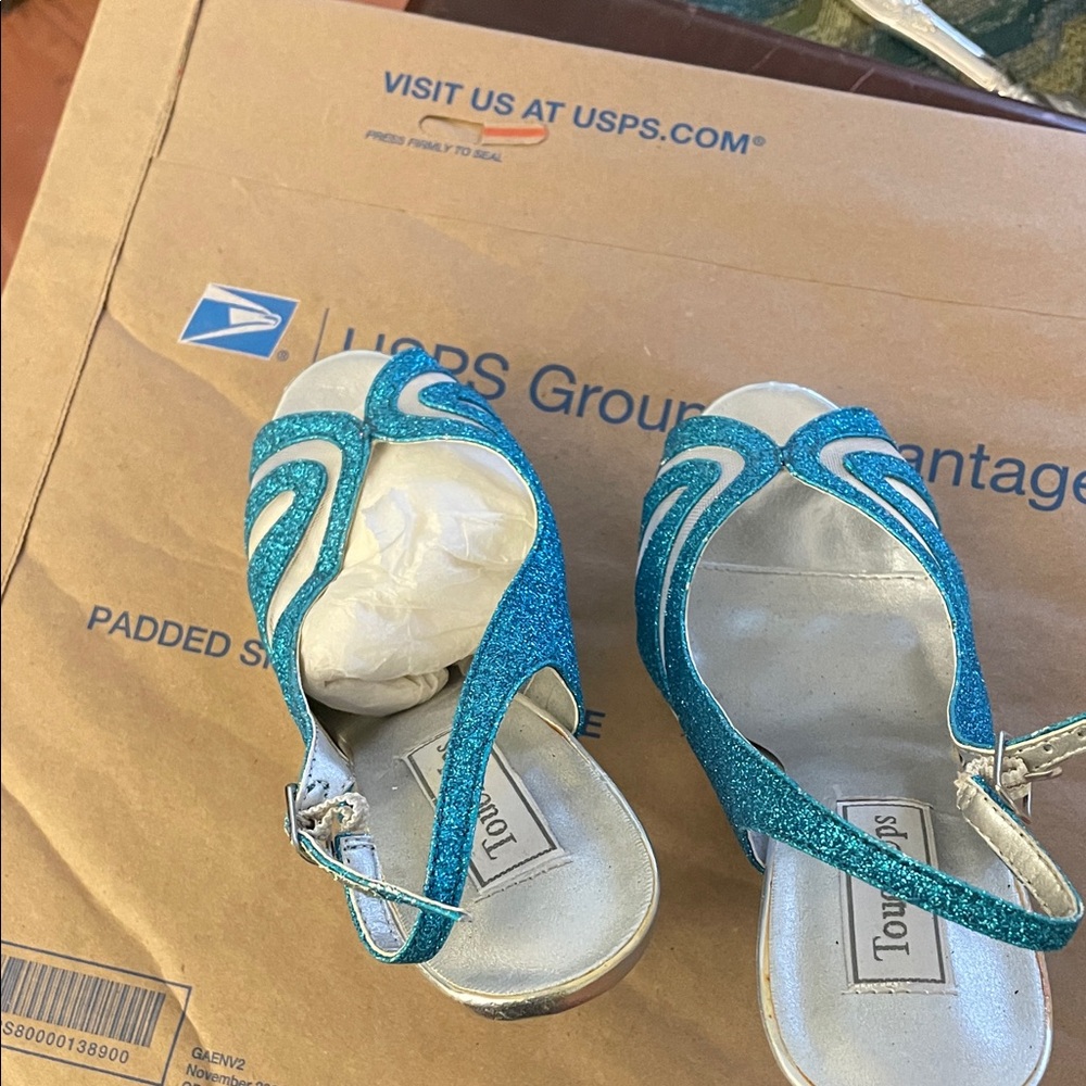 Touch Ups Blue Glitter Heels
